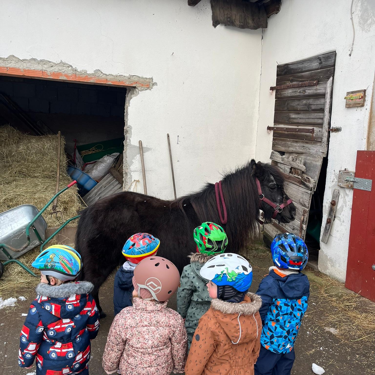 Ponybesuch